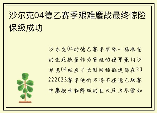 沙尔克04德乙赛季艰难鏖战最终惊险保级成功